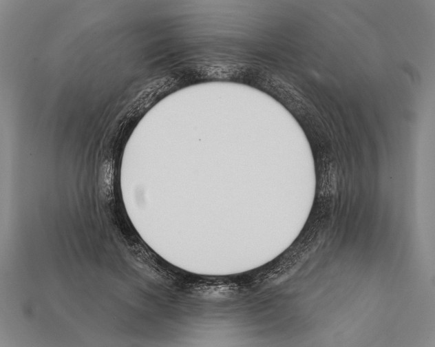 X0000112200646200909181534