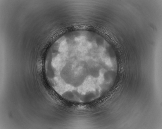 X0000112200647200909181534