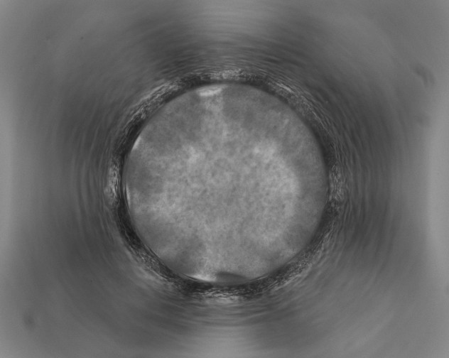 X0000112200648200909181534