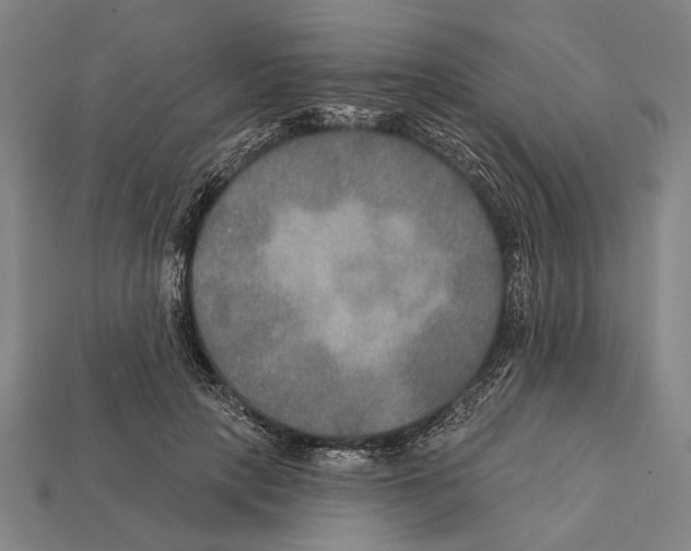 X0000112200649200909181534
