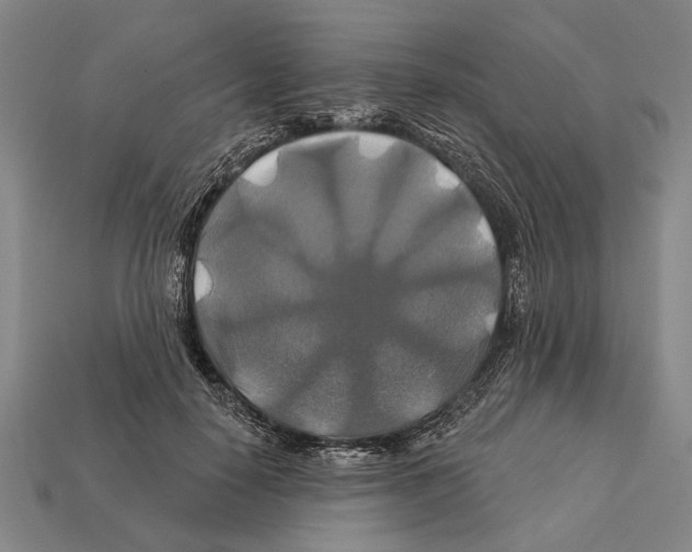 X0000112200650200909181534