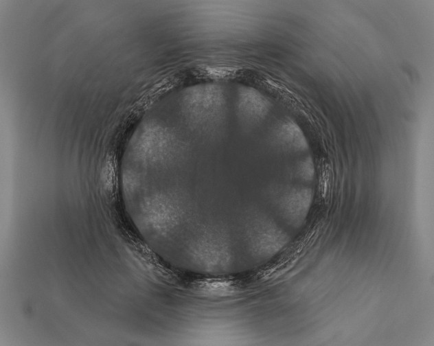 X0000112200651200909181534