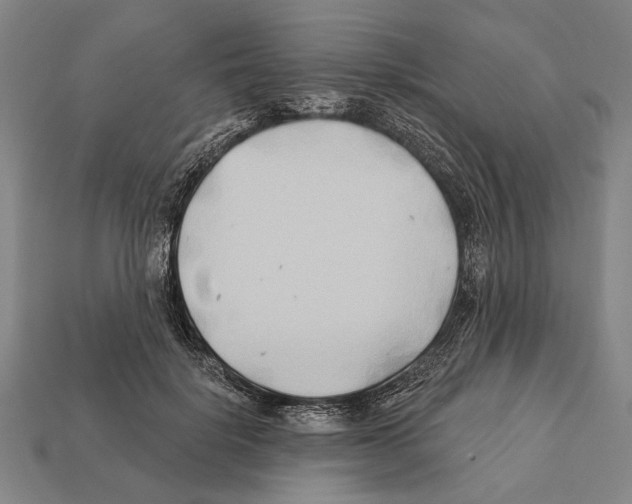 X0000112200652200909181534