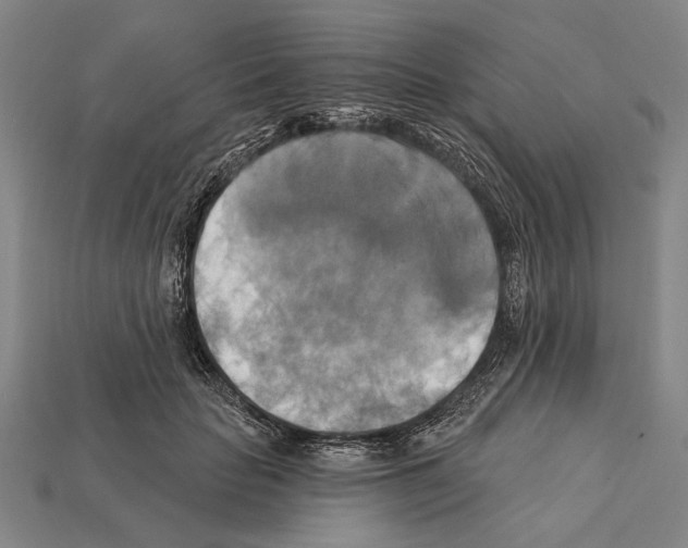 X0000112200653200909181534