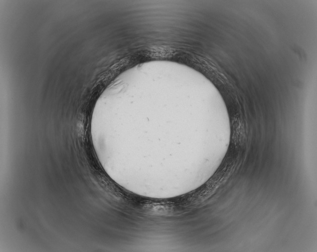 X0000112200655200909181534
