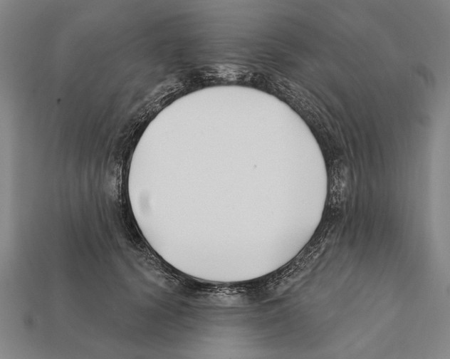 X0000112200656200909181534