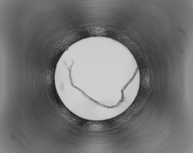 X0000112200658200909181534