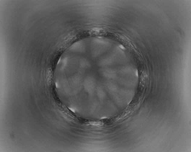 X0000112200659200909181534