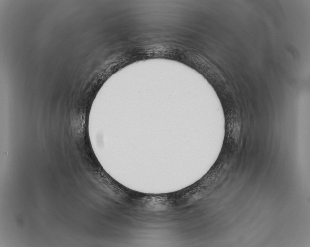 X0000112200660200909181534
