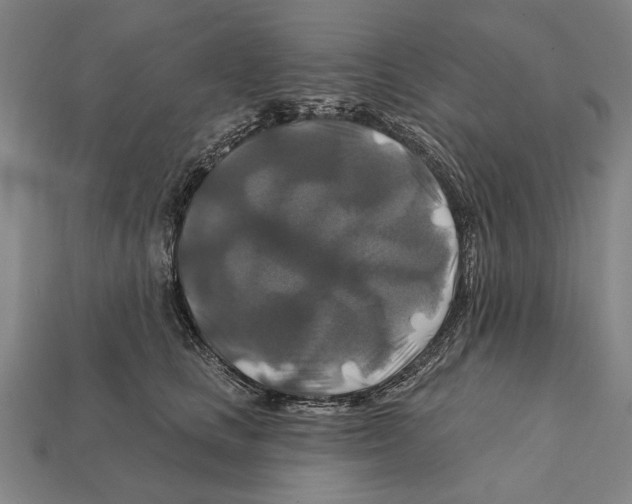 X0000112200661200909181534