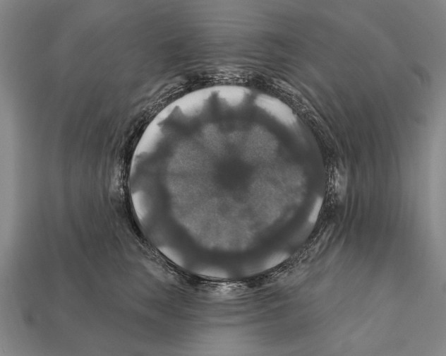 X0000112200663200909181534