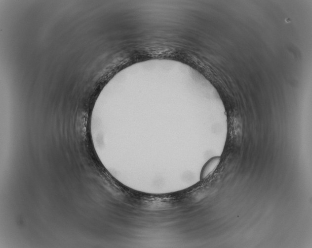 X0000112200664200909181534
