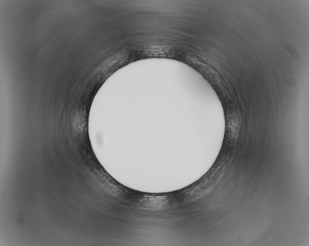 X0000112200665200909181534