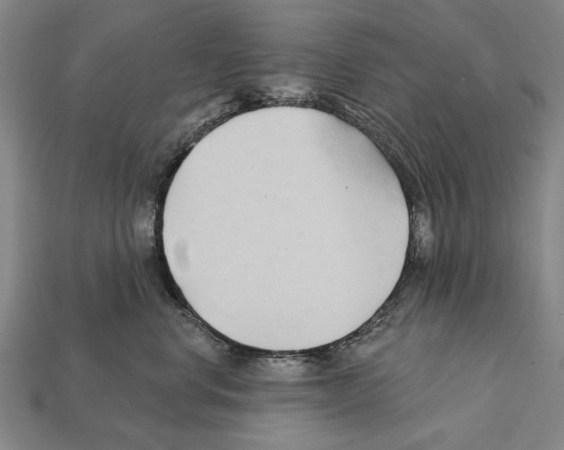 X0000112200668200909181534