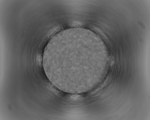 X0000112200669200909181534