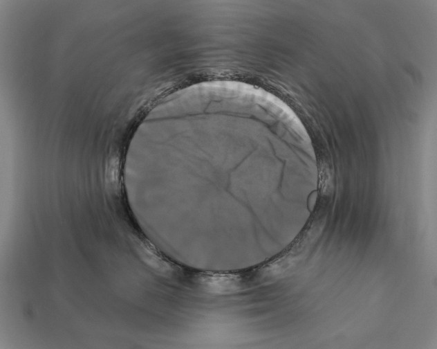 X0000112200670200909181534