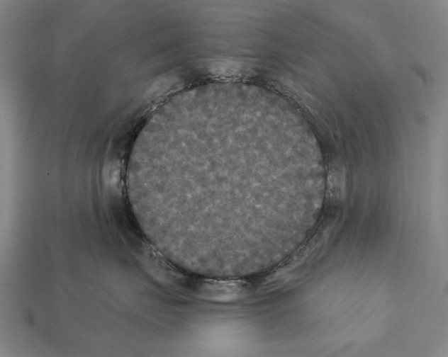 X0000112200671200909181534
