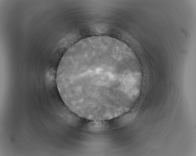 X0000112200672200909181534