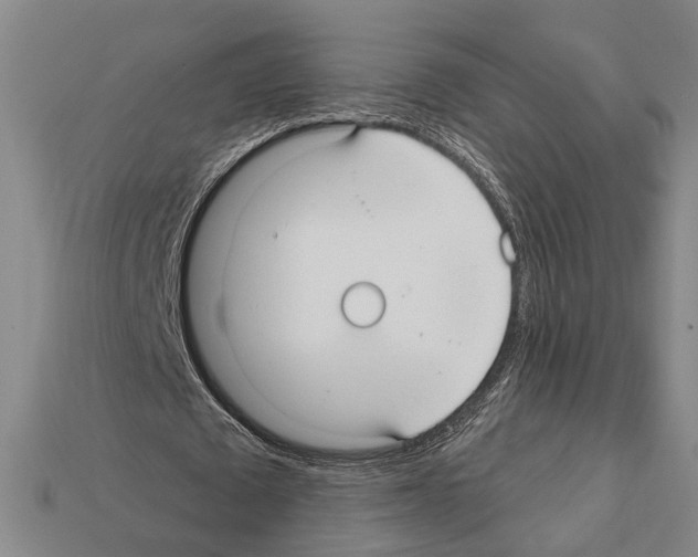 X0000112200673200909181534