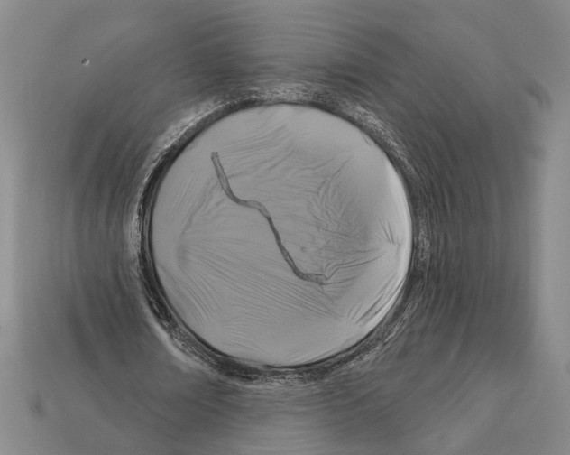 X0000112200674200909181534