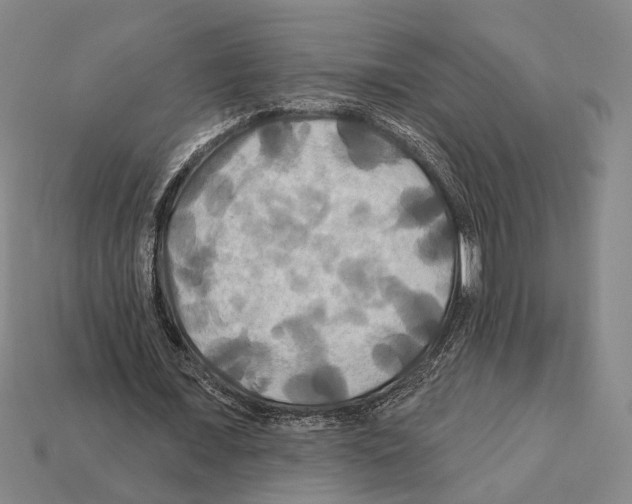 X0000112200675200909181534