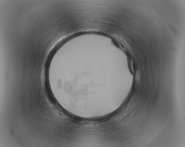 X0000112200676200909181534