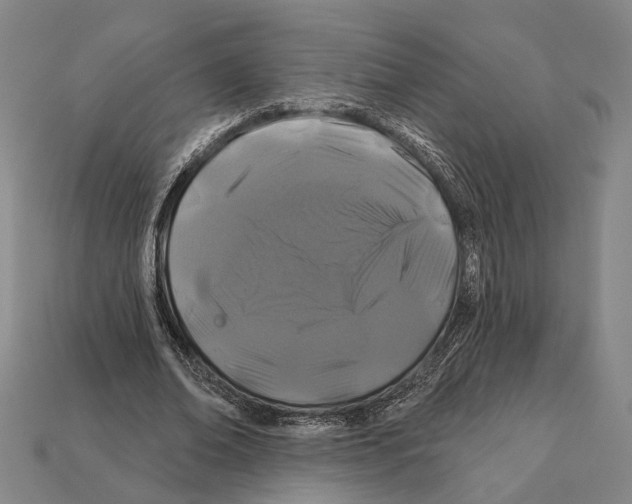 X0000112200678200909181534