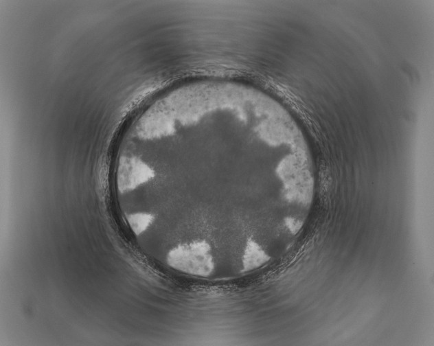 X0000112200679200909181534