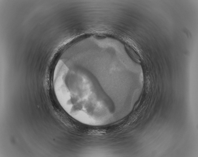 X0000112200680200909181534