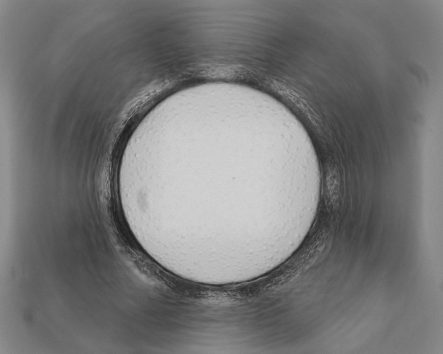 X0000112200682200909181534