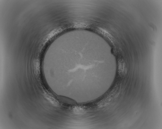 X0000112200684200909181534