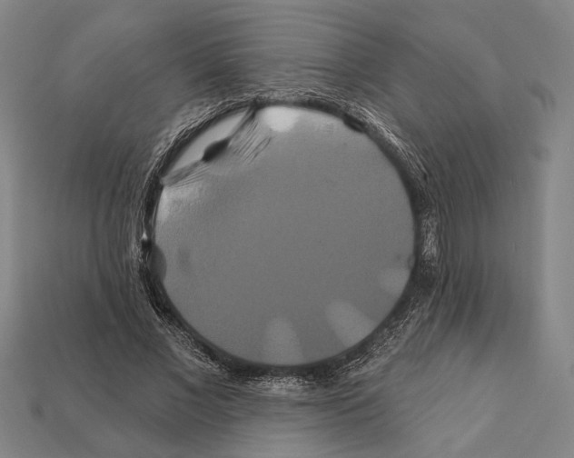 X0000112200685200909181534