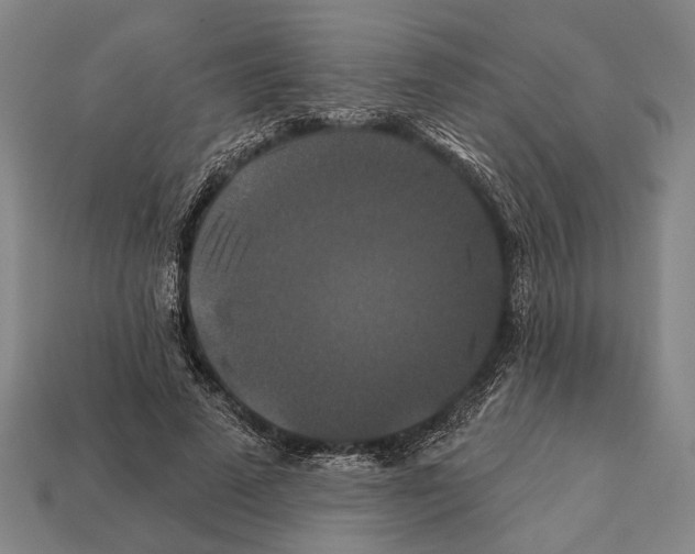 X0000112200689200909181534
