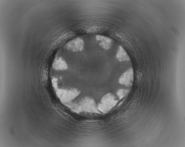 X0000112200691200909181533