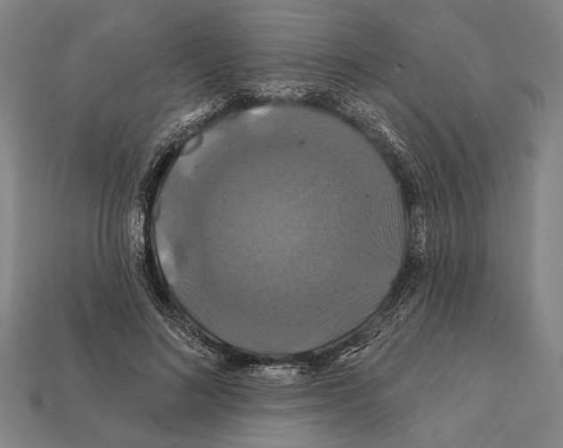 X0000112200692200909181533