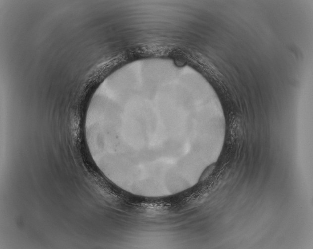 X0000112200693200909181533
