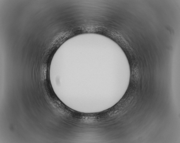 X0000112200694200909181533