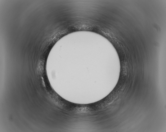 X0000112200695200909181533