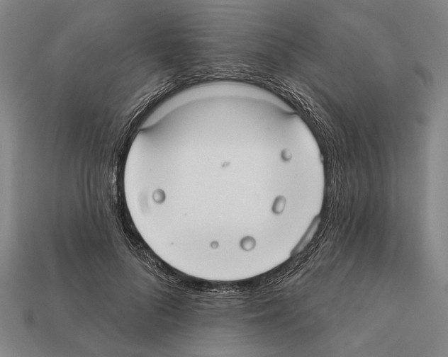 X0000112200696200909181533
