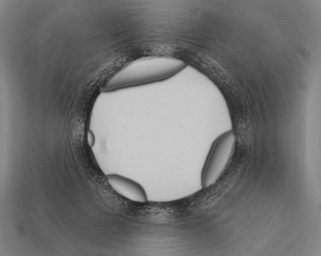 X0000112200697200909181533