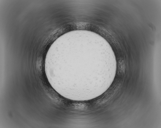 X0000112200698200909181533