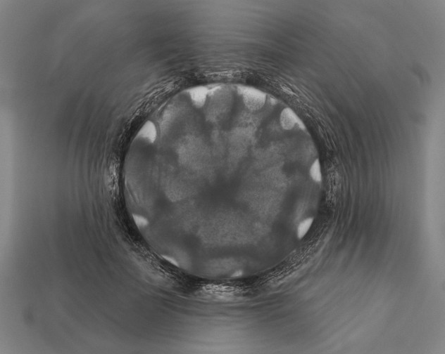 X0000112200699200909181533