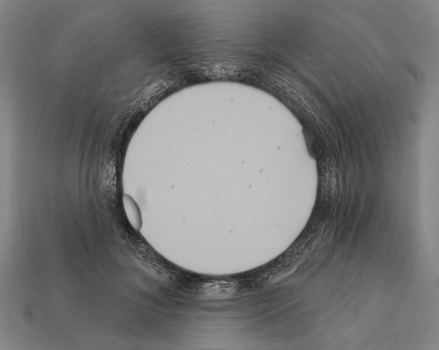 X0000112200700200909181533