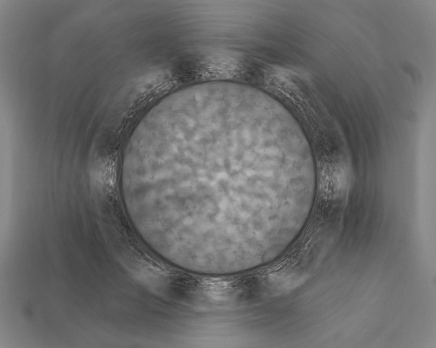 X0000112200701200909181533