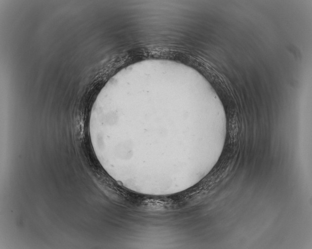 X0000112200703200909181533