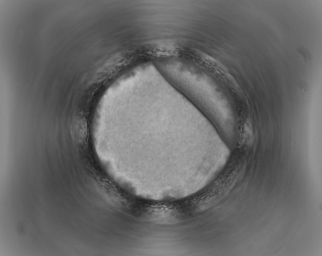 X0000112200704200909181533