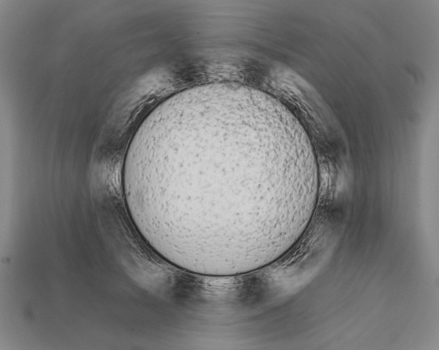 X0000112200705200909181533