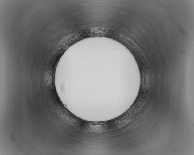 X0000112200706200909181533