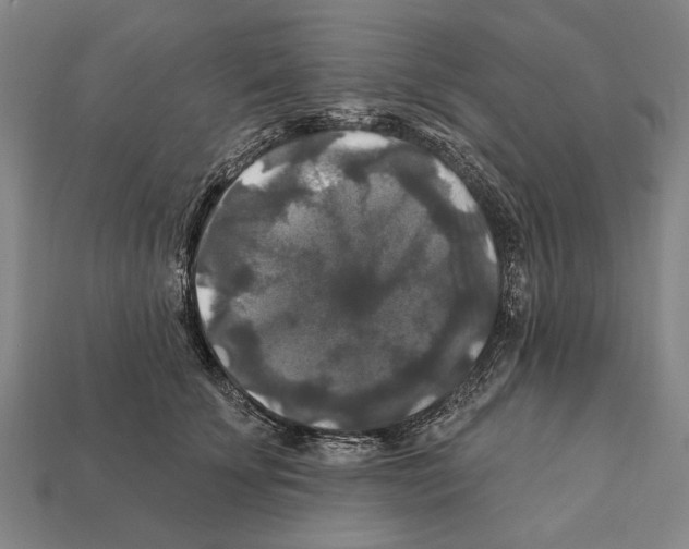 X0000112200707200909181533