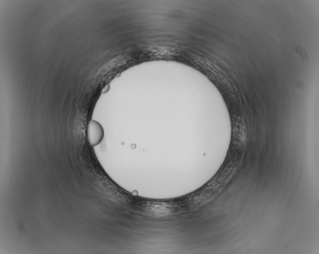 X0000112200710200909181533